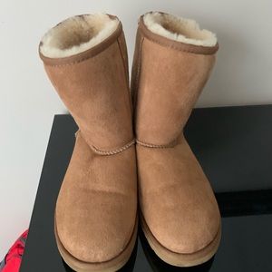Women’s classic short chestnut uggs